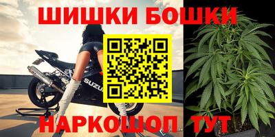 СК Краснодар