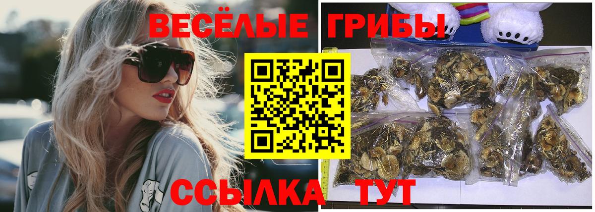 Электрогорск  Псилоцибиновые грибы ЛСД  Вход с VPN 