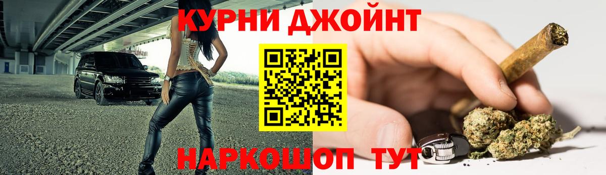 Каннабис OG Kush  Вход с VPN  Электрогорск  Канабис сатива 